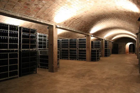 Bodegas Canals & Munné Vinos y Cavas. Visitas Sant Sadurni - Bodega en Sant Sadurni dAnoia
