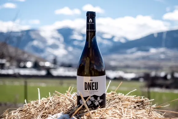 LLIVINS Mountain Wines - Vins de Muntanya - Llivia