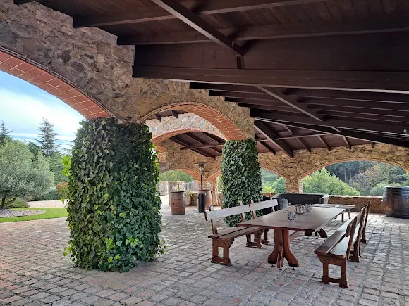 Clarella Winery - Vidra