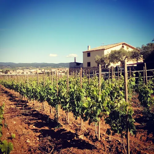 Clos dels Guarans - Santa Margarida i els Monjos