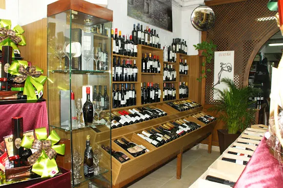 Alsivins SL - Manresa
