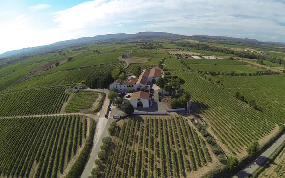 Cava Martín Soler - Puigdalber
