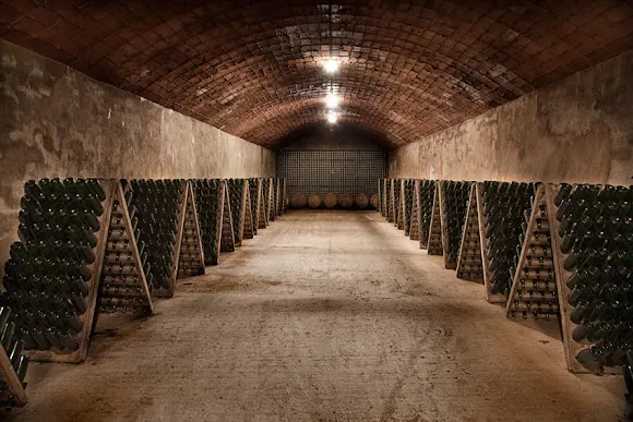 Bodegas Capita Vidal