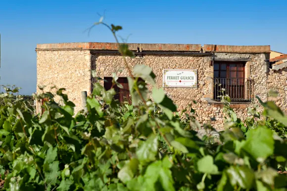 Cava Josep Mª Ferret Guasch