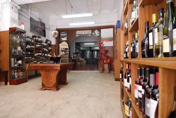 Vins Alsina - Manresa