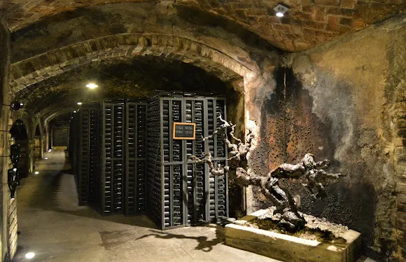 Torelló Viticultors