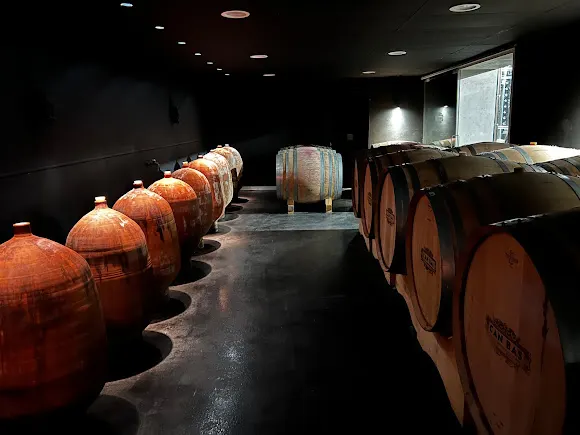 Tacadevi | Wine Tasting & Tours Barcelona - Barcelona