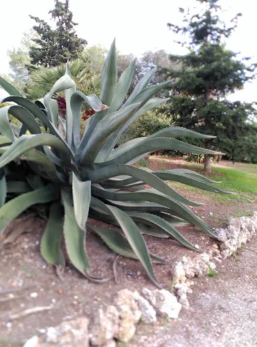 Finca Valldosera S.A. - Olerdola