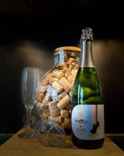 CAVA DOGMA - Pontons