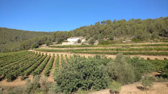 Puig Batet- Finca Corral d'en Massó - Sant Pere de Ribes