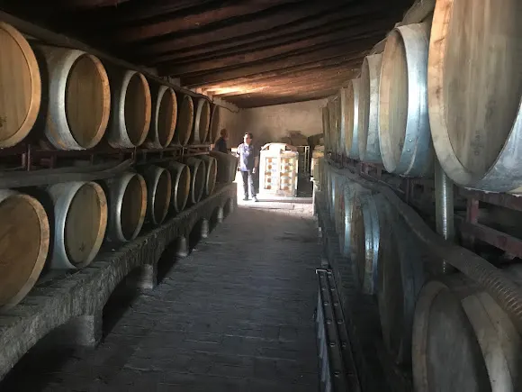 VEGA DE RIBES