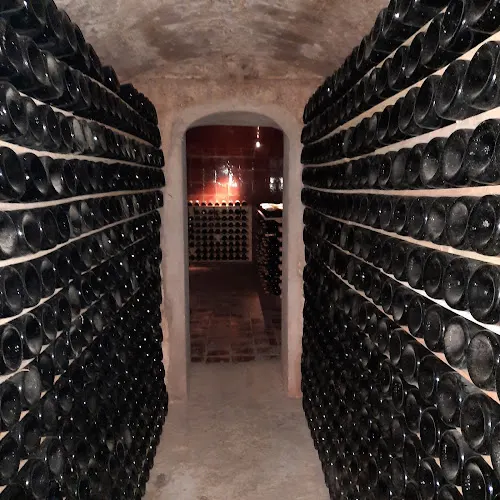 Vins i caves Joan Segura Pujadas - Torrelavit