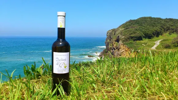 Bodega y Viñedo Señorío del Pas - Bodega en Villafufre