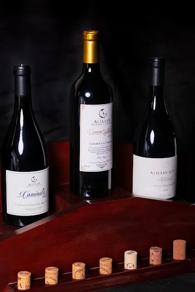 Bodegas y Viñedos Alilian S.L. - Aranda de Duero