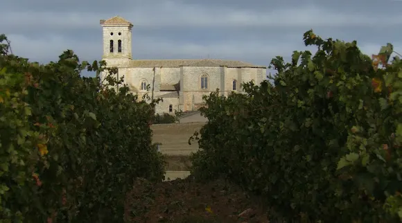 Bodega ENOLÓGICA WAMBA, SL - Bodega en Pampliega