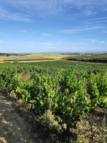 PRETIUM Bodega-Berta Valgañon