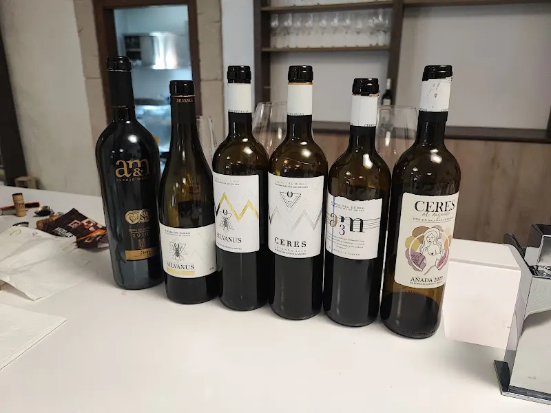 Bodegas Asenjo & Manso - La Horra