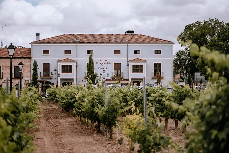 Hotel y Bodega El Lagar de Isilla - La Vid y Barrios