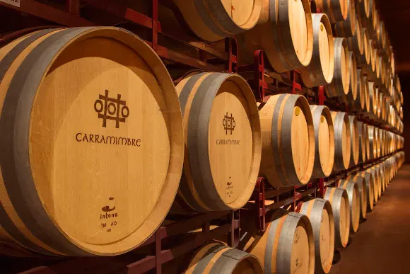Bodegas Carramimbre - Penafiel