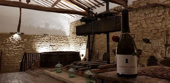 La Bodega del Tesoro (visitas bodega)