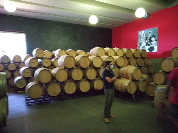 Bodegas y Viñedos Neo S.L.