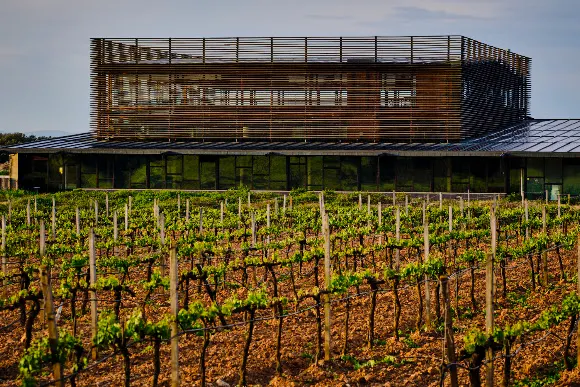 Bodega Bela