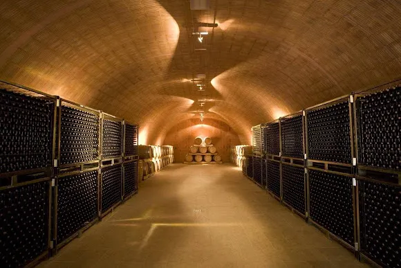 Celler Burgos Porta - Mas Sinén