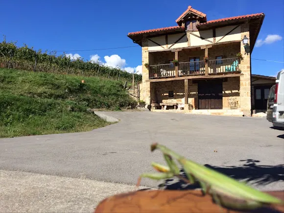 Bodegas Vidular