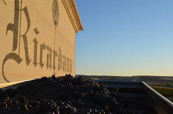Bodegas Rojo (Ricardana)