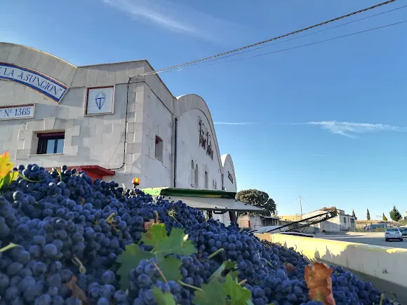 Bodega Coop. Virgen de la Asunción