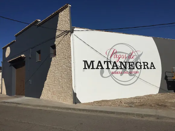 Bodega Pagos de Matanegra, tu Ribera del Duero