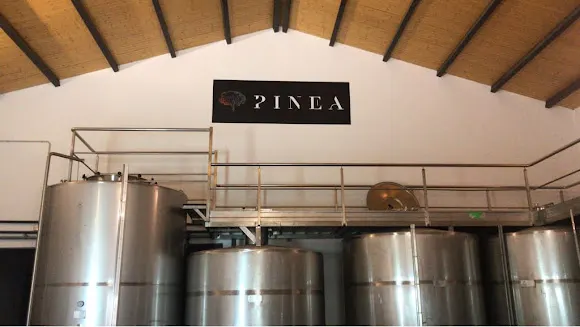 Bodegas PINEA