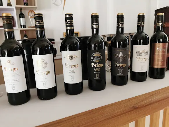 Bodegas Briego - Ribera del Duero
