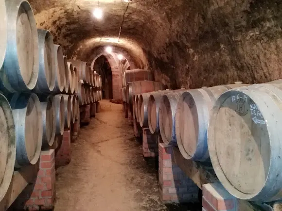 Bodega Remigio de Salas Jalón - Duenas