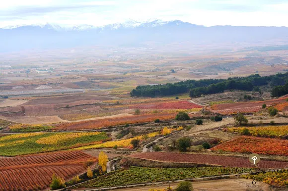 Bodegas y viñedos QUIROGA DE PABLO