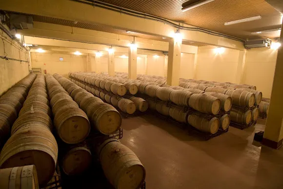 Bodegas Virgen de la Vega