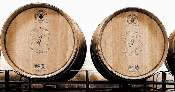 Bodegas Dehesavieja - Holguera