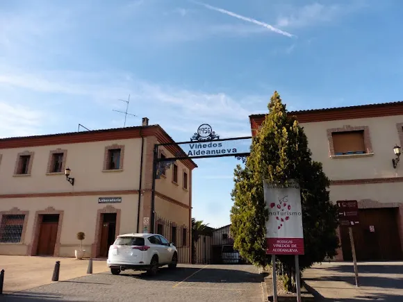 Viñedos de Aldeanueva