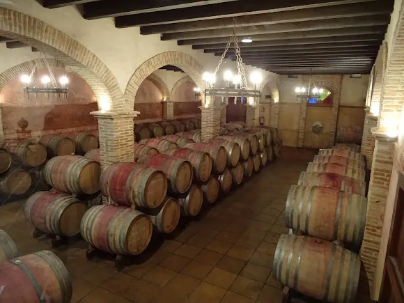 Bodega y Viñedos Pago Calzadilla - Huete