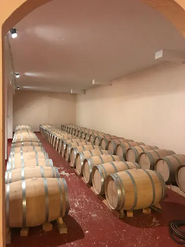 Bodega y Viñedos Agejas, S.L. - Cabanas de Polendos