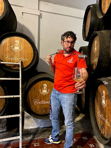 Bodega Primitivo Collantes