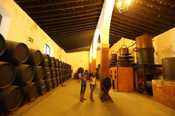 Bodega Tío Pepe