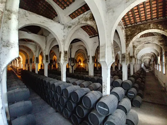 Bodegas Fundador