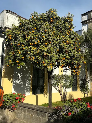 Bodegas Fundador