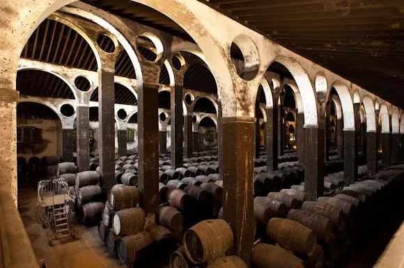 Museo, Tienda y Centro de Visitantes Bodegas Barbadillo