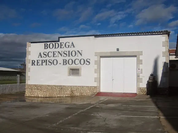 Bodega Ascensión Repiso Bocos