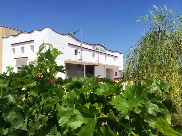 BODEGA LES USERES