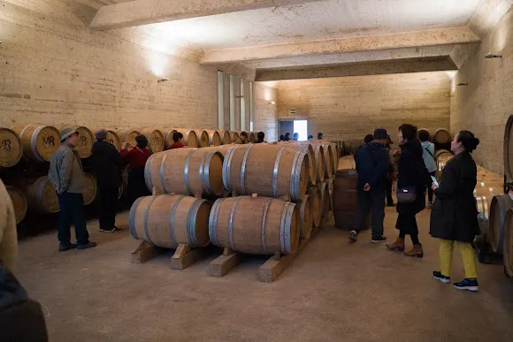 BODEGA MAS DE RANDER - Torreblanca