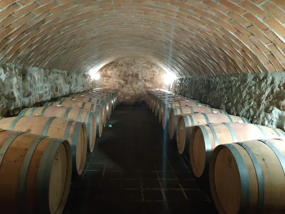 Bodegas Borraz - Bordon