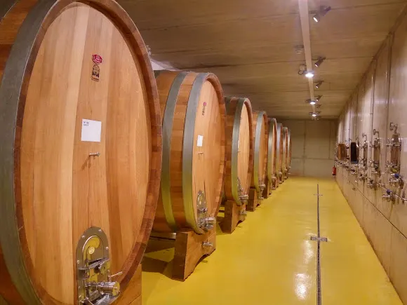 Les Vinyes del Convent - Horta de Sant Joan